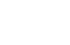 IATA Logo
